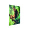 One Piece Zoro