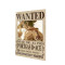 Portgas D. Ace Wanted One Piece