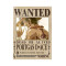 Portgas D. Ace Wanted One Piece