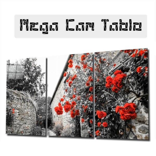 Kırmızı Çiçekler Mega Cam Tablo Kırmızı Çiçekler Mega Cam Tablo