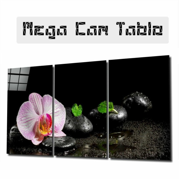 Orkide Mega Cam Tablo Orkide Mega Cam Tablo