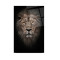 Aslan Cam Tablo