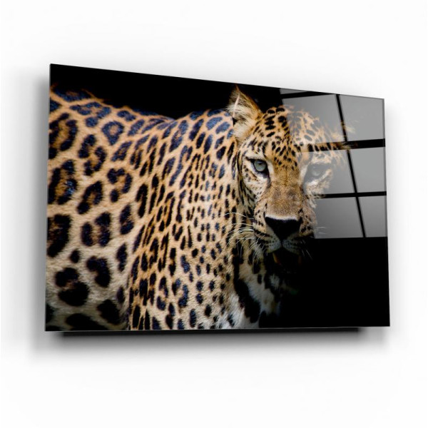 Leopar Cam Tablo Leopar Cam Tablo