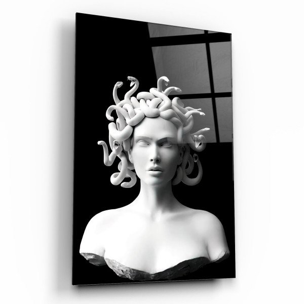 Medusa Cam Tablo Medusa Cam Tablo