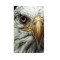 Kartal Cam Tablo