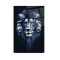 Aslan Cam Tablo