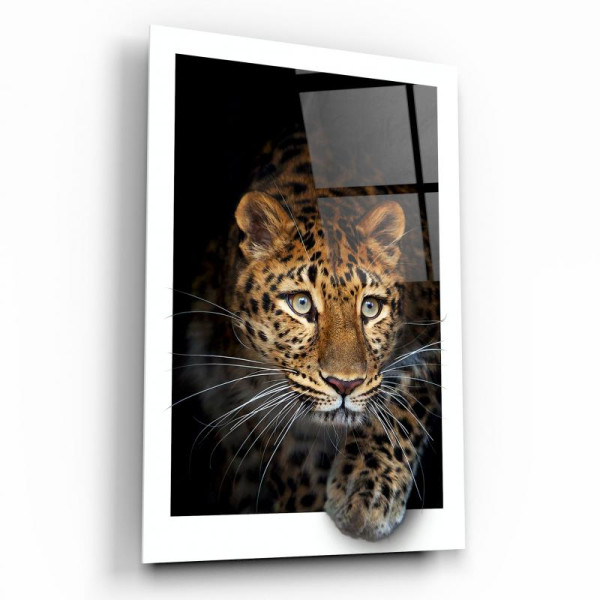 Leopar Cam Tablo Leopar Cam Tablo