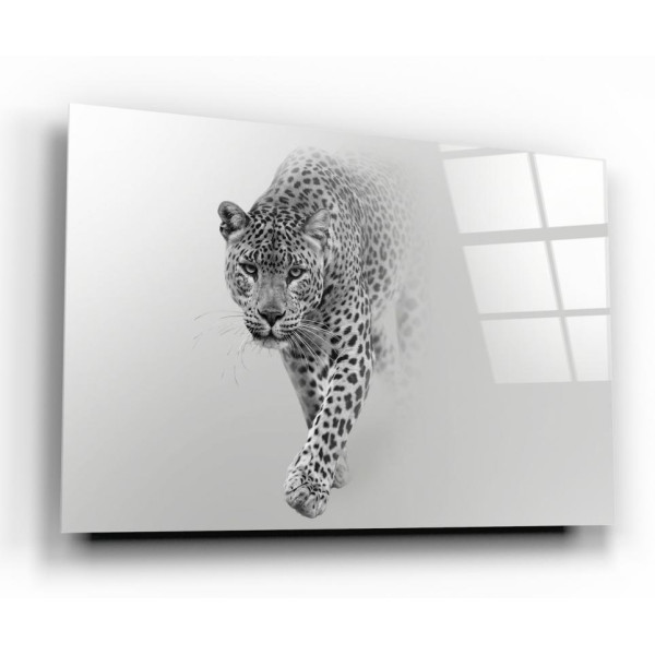 Leopar Cam Tablo Leopar Cam Tablo