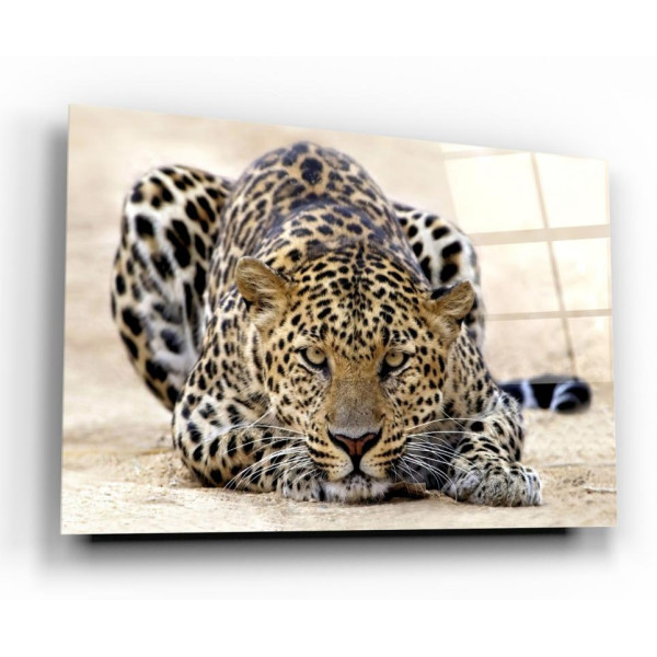 Leopar Cam Tablo Leopar Cam Tablo