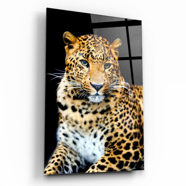 Leopar Cam Tablo Leopar Cam Tablo