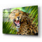 Leopar Cam Tablo