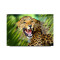 Leopar Cam Tablo