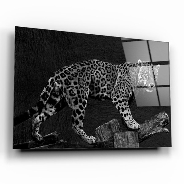 Leopar Cam Tablo Leopar Cam Tablo