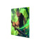 One Piece Zoro