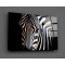 Zebra Cam Tablo No:1219