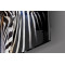 Zebra Cam Tablo No:1219