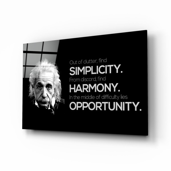 Einstein Cam Tablo Einstein Cam Tablo