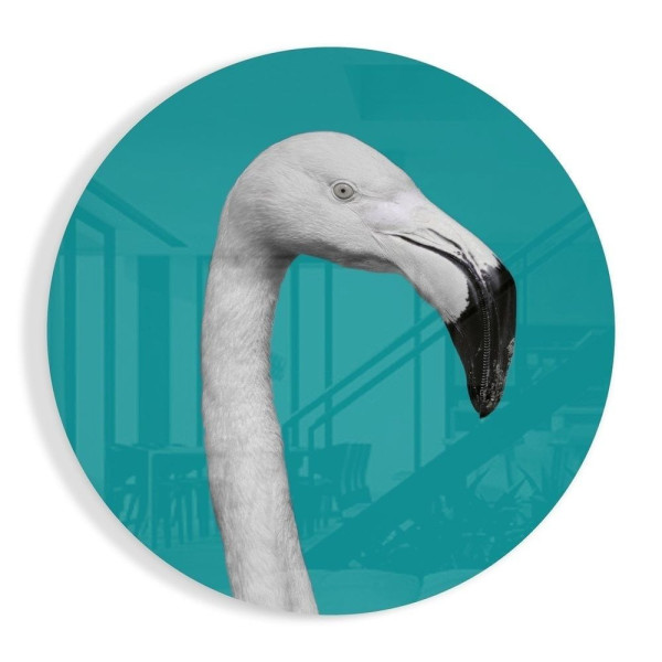 Flamingo Cam Tablo Flamingo Cam Tablo