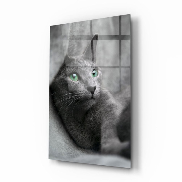 Kedi Cam Tablo Kedi Cam Tablo