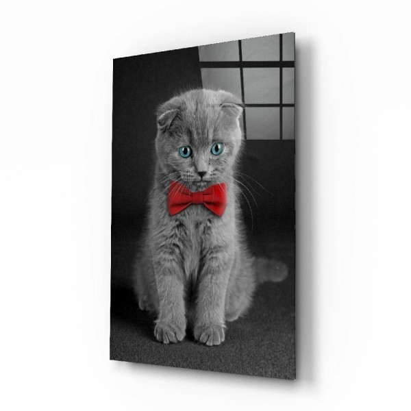 Kedi Cam Tablo Kedi Cam Tablo