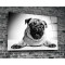 Pug Köpek Cam Tablo No:1043