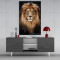 Aslan Cam Tablo