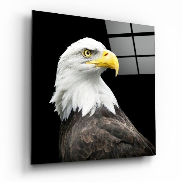 Kartal Cam Tablo No:6048 Kartal Cam Tablo No:6048