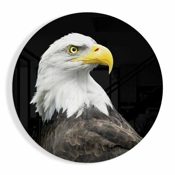Kartal Cam Tablo Kartal Cam Tablo