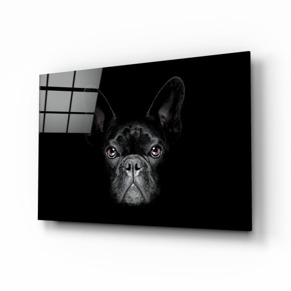 Köpek Cam Tablo Köpek Cam Tablo