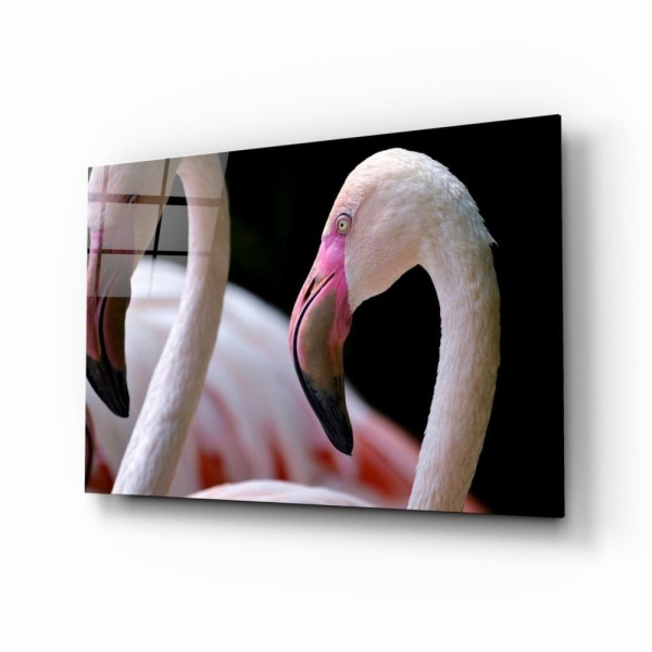 Flamingo Cam Tablo Flamingo Cam Tablo
