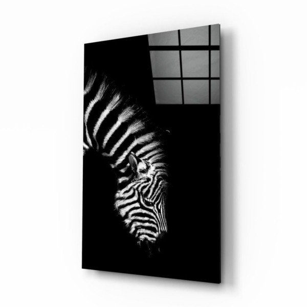 Zebra Cam Tablo Zebra Cam Tablo