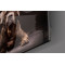 Köpek Cam Tablo No:1180