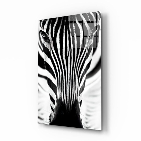 Zebra Cam Tablo No:8047 Zebra Cam Tablo No:8047