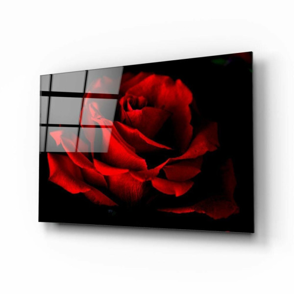 Kırmızı Gül Cam Tablo Kırmızı Gül Cam Tablo