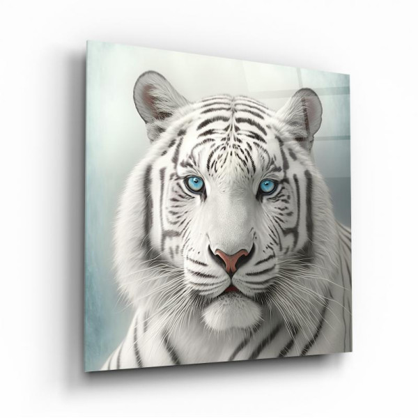 Kaplan Cam Tablo Kaplan Cam Tablo
