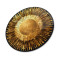 Gold Soyut Yuvarlak Cam Tablo